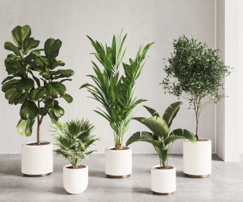 Modern Ground Green Plant Potted Plants-ID:829544072