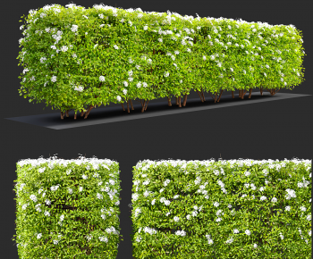 Modern Shrubbery-ID:913525108