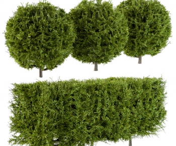 Modern Shrubbery-ID:901902919