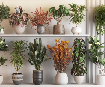 Modern Ground Green Plant Potted Plants-ID:945327048