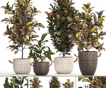 Modern Ground Green Plant Potted Plants-ID:153243065