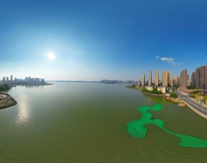 ModernThe Environment