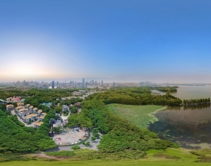 ModernThe Environment