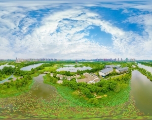 ModernThe Environment