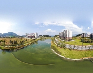 ModernThe Environment