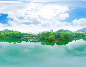 ModernThe Environment