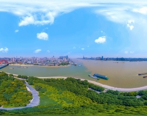 ModernThe Environment