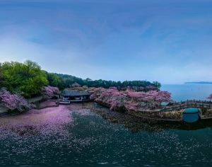 ModernThe Environment