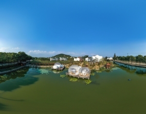 ModernThe Environment