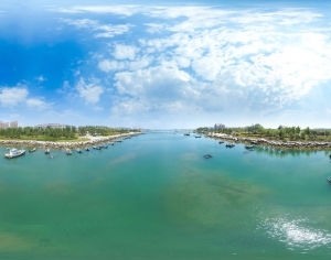 ModernThe Environment