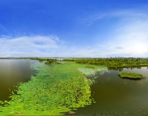 ModernThe Environment