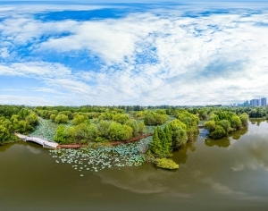 ModernThe Environment