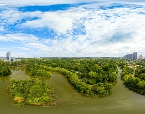 ModernThe Environment