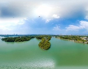 ModernThe Environment