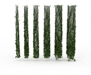 Modern Vine-ID:507528072