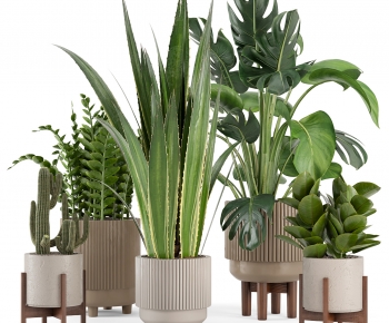 Modern Ground Green Plant Potted Plants-ID:238307953
