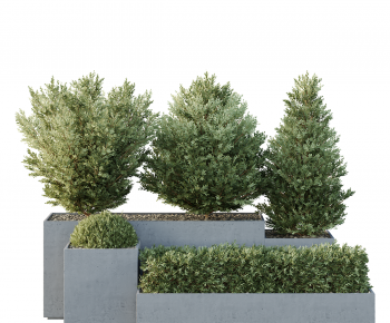 Modern Flower Bed, Flower Bowl, Flower Box-ID:428550967