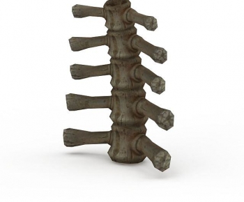 Modern Other-ID:735498911