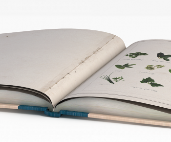 Modern Book-ID:948467975