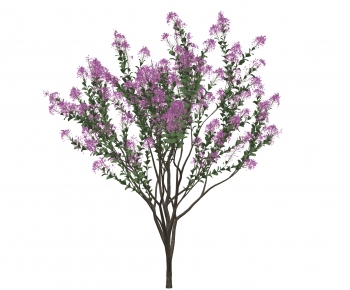 Modern Tree-ID:249049903