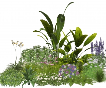 Modern Plant Pile-ID:855408918