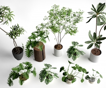 Modern Ground Green Plant Potted Plants-ID:780870991