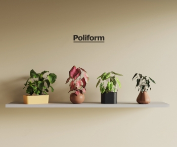Modern Desktop Plant-ID:485663896
