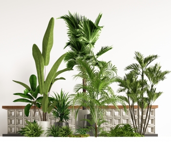 Modern Plant Pile-ID:811671025