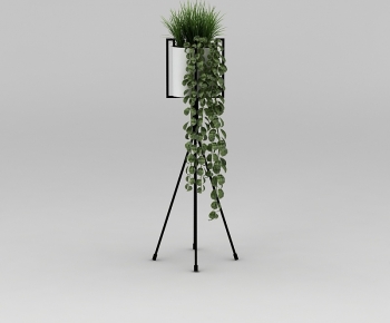 Modern Potted Green Plant-ID:807677037