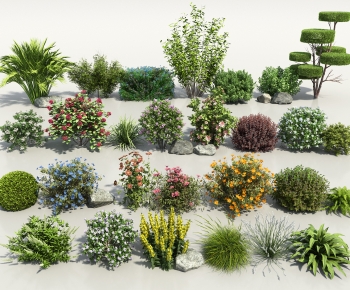 Modern Shrubbery-ID:738914974