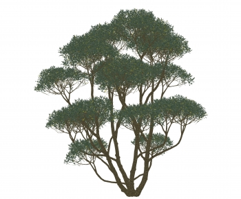 Modern Tree-ID:393647913