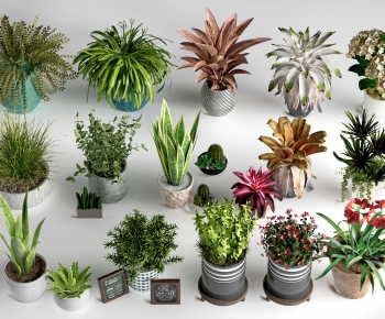 Modern Ground Green Plant Potted Plants-ID:392390016