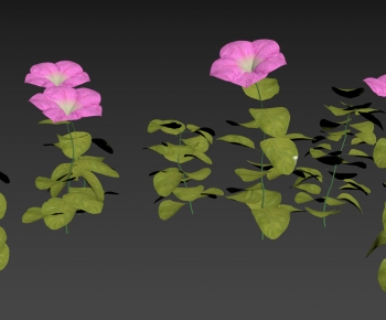 Modern Flowers And Grass-ID:779942992