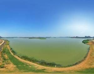 ModernThe Environment