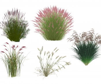 Modern Flowers And Grass-ID:406559944