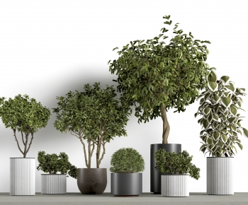 Modern Ground Green Plant Potted Plants-ID:245798115