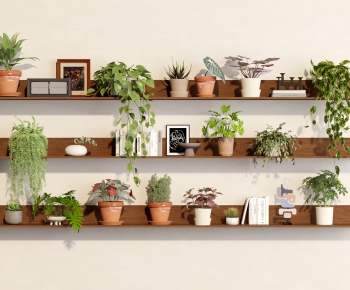 Modern Potted Green Plant-ID:224787957