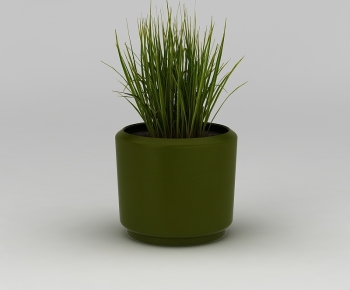 Modern Potted Green Plant-ID:442369949