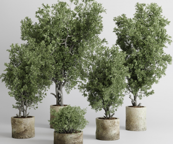 Modern Ground Green Plant Potted Plants-ID:977780817