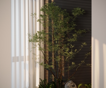 Modern Plant Landscaping-ID:197597987