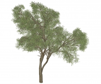 Modern Tree-ID:998652942
