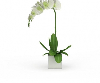 Modern Potted Green Plant-ID:446099049