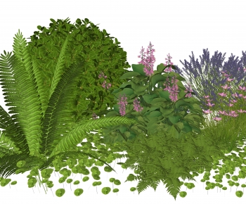 Modern Plant Pile-ID:611520059