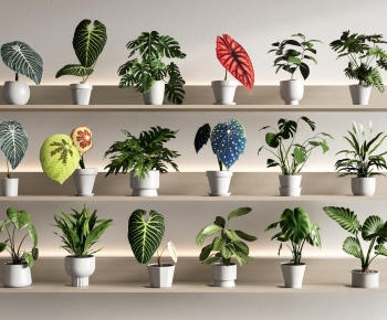 Modern Desktop Plant-ID:735937127