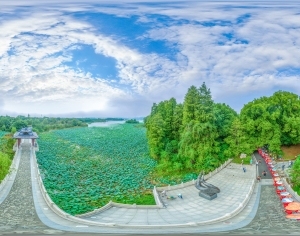 ModernThe Environment