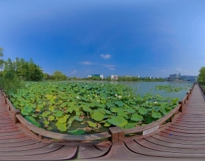 ModernThe Environment