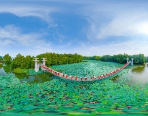 ModernThe Environment