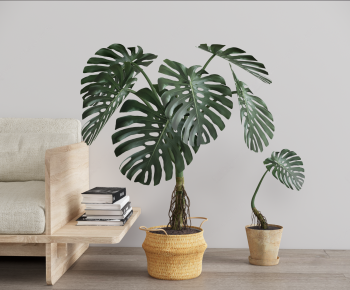 Modern Ground Green Plant Potted Plants-ID:796216964