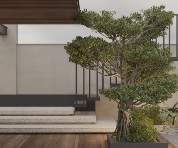 Modern Courtyard/landscape-ID:147072084