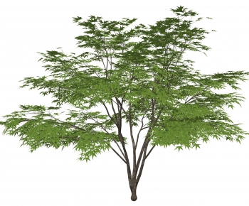Modern Tree-ID:826402905